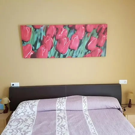 Villa Cal50 Calafat